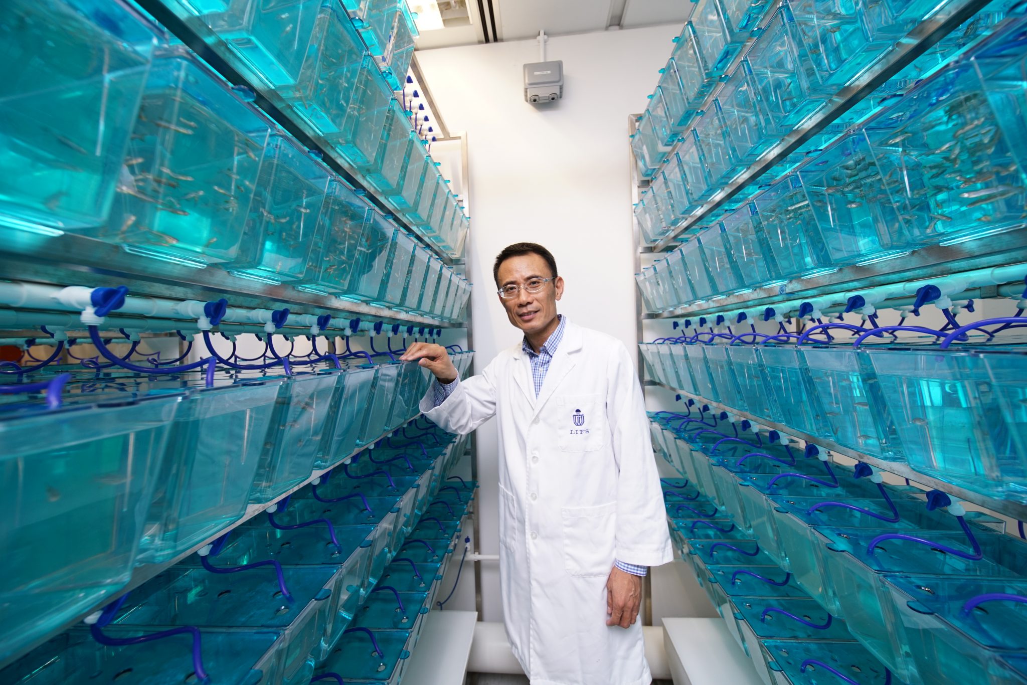 Prof. WEN Zilong