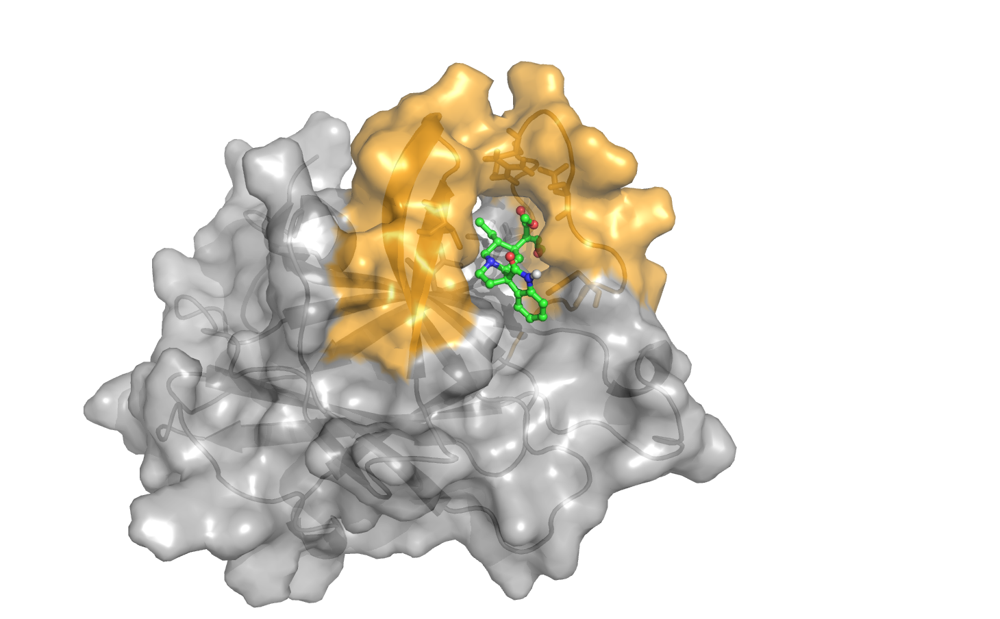  A small molecule rhynchophylline, identified from traditional Chinese medicine database, binds to a new molecular target of Alzheimer’s disease EphA4.
