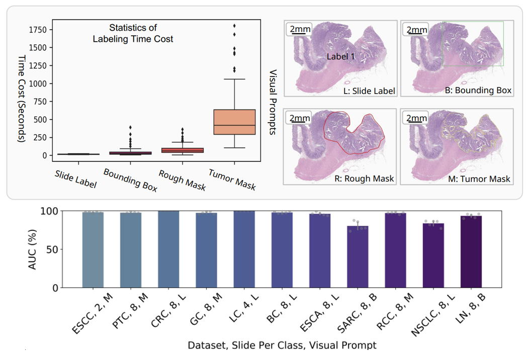 research figure