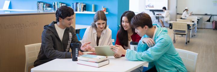 Mentorship