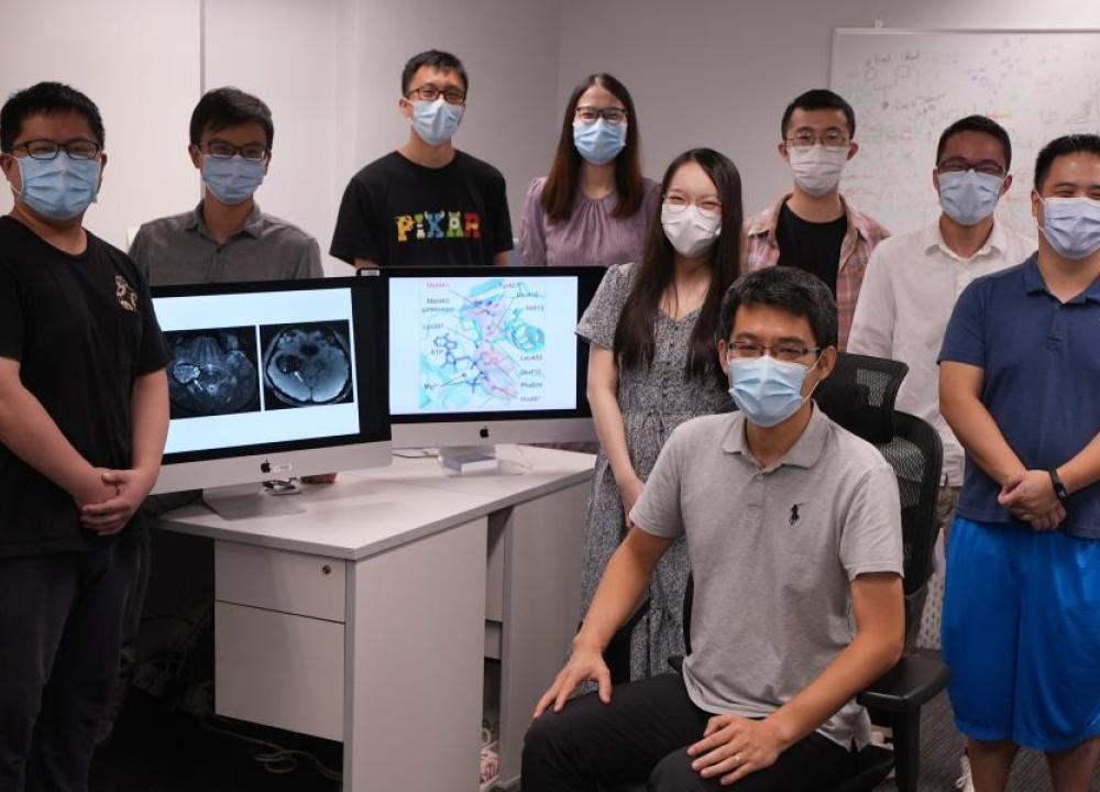 New Mutation Causing Brain Disorder Uncovered